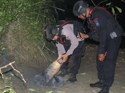 Bom Sisa Perang Dunia II Ditemukan di Sungai Ariyau Jayapura Berjenis Aircraft