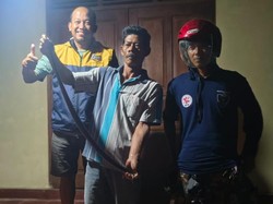 Kobra Jawa Tepergok Kucing Saat Nyelonong ke Kamar Warga Klaten