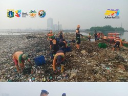 Pulau Sampah Muara Angke Bersih, tapi Masih Ada PR