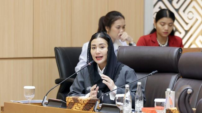 Anggota DPR RI Komisi VII, Novita Hardini saat Rapat Kerja di Gedung DPR RI di Senayan, Jakarta, Rabu (3/6/2026).