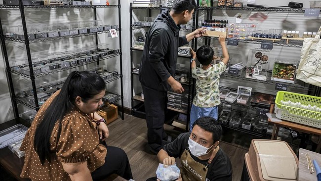 Ninlaya Dangkomen, 37, and her son Hameez Phoprasat, 6, shop at the Ant Keeping cafe in Bangkok, Thailand, May 29, 2026. REUTERS/Chalinee Thirasupa.