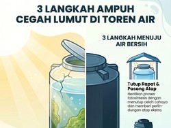 Infografis: Trik Ampuh Cegah Lumut Tumbuh di Toren Air