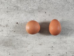Heboh! Temuan Telur Bulat Sempurna, Kelangkaannya Disebut 1:1 Miliar