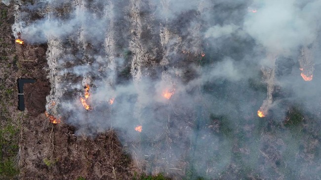 Kebakaran Hutan dan Lahan di Nagan Raya