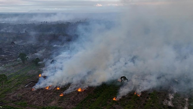Kebakaran Hutan dan Lahan di Nagan Raya