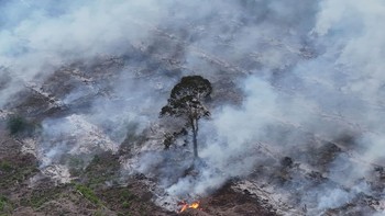 Kebakaran Hutan dan Lahan di Nagan Raya