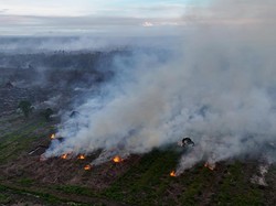 Awal Juni Hotspot Sumsel Terpantau 164 Titik, Muara Enim dan Lahat Tertinggi