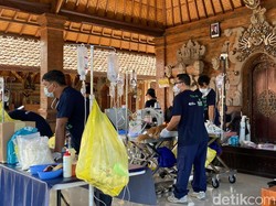 Rabies Bikin Waswas, Warga Jembrana Ramai-ramai Vaksin dan Steril Hewan