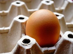 Telur Omega-3: Manfaat dan Perbedaannya Dibanding Telur Biasa