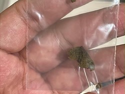 WN Rusia Bawa 7,8 Kg Hashish dari Thailand, Hendak Diedarkan di Bali