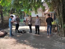 Tunggang Langgang para Penyabung di Pasuruan Tinggalkan 5 Ayam Jagoan