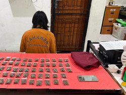 Pengedar Narkoba di Bangka Barat Diringkus Polisi, Puluhan Paket Ganja Disita