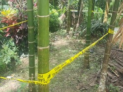 Amunisi Diduga Bom Sisa Perang Dunia II Ditemukan di Doyo Baru