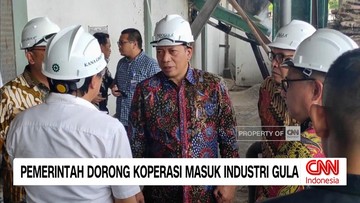 VIDEO: Pemerintah Dorong Koperasi Masuk Industri Gula Nasional