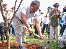 Bangun Ketahanan Iklim, Menteri LH Targetkan Penanaman 2 Miliar Pohon