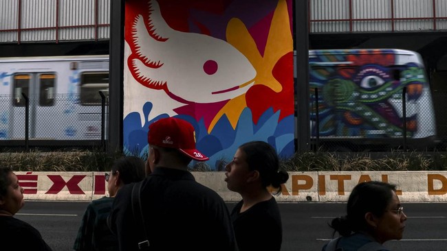 Axolotl, hewan yang kini jadi maskot Piala Dunia 2026, ternyata terancam punah.