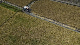 Petani memanen padi menggunakan mesin pertanian di Desa Jatirejo, Demak, Jawa Tengah, Senin (8/6/2026). Perum Bulog Wilayah Jawa Tengah mencatat realisasi serapan gabah di wilayah Jawa Tengah hingga awal Juni 2026 mencapai 237.222 ton setara beras ya