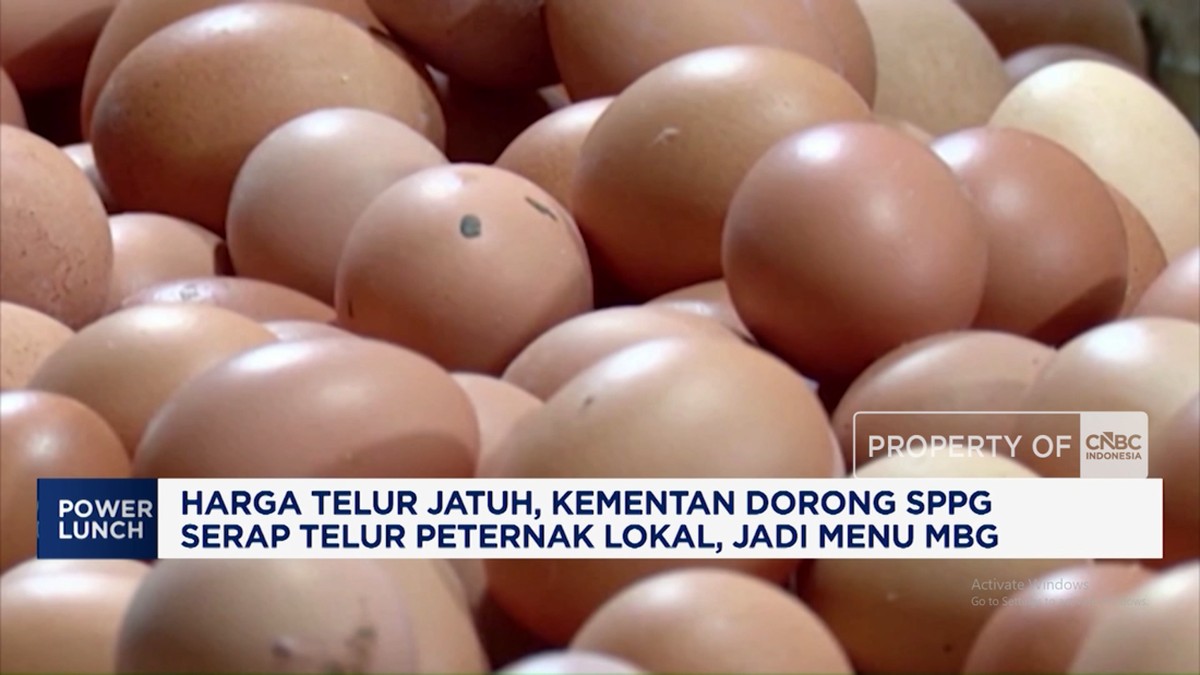 Harga Telur Jatuh, Kementan Dorong SPPG Serap Telur Peternak Lokal