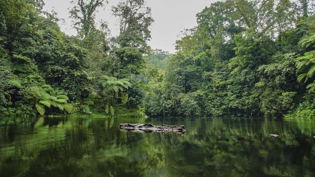 Suasana danau Ranu Darungan di Pronojiwo, Lumajang, Jawa Timur, Selasa (8/7/2025). Kawasan Taman Nasional Bromo Tengger Semeru (TNBTS) yang memiliki sejumlah fasilitas wisata minat khusus seperti empat spot pengamatan burung, taman edukasi dan persem
