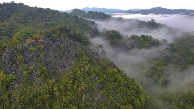 Indonesia memiliki banyak hutan dengan bentuk dan karakter beragam.