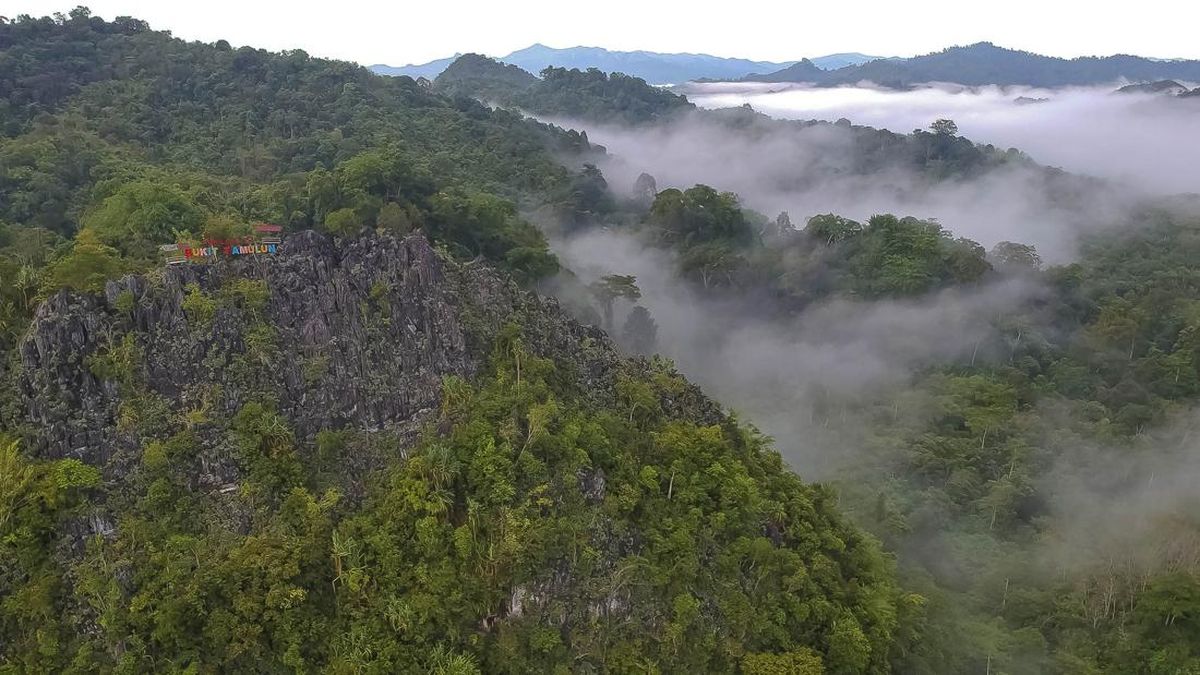Indonesia Raksasa Karbon Dunia, Apa Untungnya?