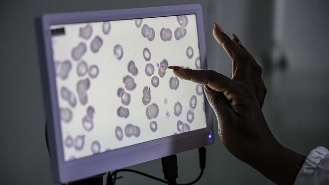 Kasus malaria meningkat di sejumlah wilayah di Afrika. Penyebaran malaria didukung perubahan iklim yang mengubah pola curah hujan dan suhu.