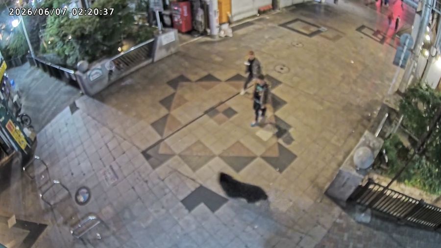 Pemerintah Kota Utsunomiya, Jepang, menangguhkan aktivitas di seluruh 94 sekolah dasar dan menengah pada Senin (8/6/2026) setelah kemunculan seekor beruang di area permukiman.