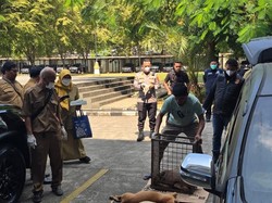 Ayah Bocah yang Tewas Diserang Anjing Pemburu di Jasinga Tempuh Jalur Hukum