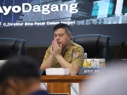 Kemendagri Minta Kepala Daerah Galakkan Tanam Cabai untuk Kendalikan Harga