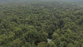 Foto udara danau Ranu Darungan di Pronojiwo, Lumajang, Jawa Timur, Selasa (8/7/2025). Kawasan Taman Nasional Bromo Tengger Semeru (TNBTS) yang memiliki sejumlah fasilitas wisata minat khusus seperti empat spot pengamatan burung, taman edukasi dan per
