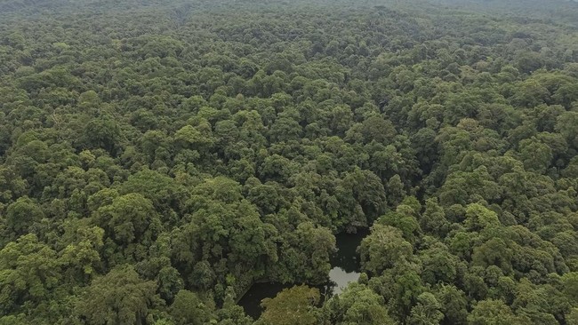 Foto udara danau Ranu Darungan di Pronojiwo, Lumajang, Jawa Timur, Selasa (8/7/2025). Kawasan Taman Nasional Bromo Tengger Semeru (TNBTS) yang memiliki sejumlah fasilitas wisata minat khusus seperti empat spot pengamatan burung, taman edukasi dan per