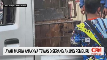 VIDEO: Ayah Murka Anaknya Tewas Diserang Anjing Pe