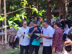 Mangrove Mati Diduga Akibat Tumpahan Minyak di Benoa, Jumhur Bereaksi