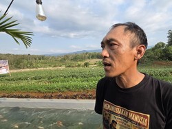 Cerita Napi Lapas Warungkiara Senang Bisa Bertani Sambil Jalani Hukuman