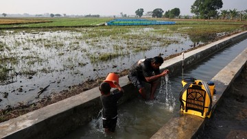 Puncak Musim Kemarau Dimulai Bulan Ini, Cek Daftar Wilayahnya