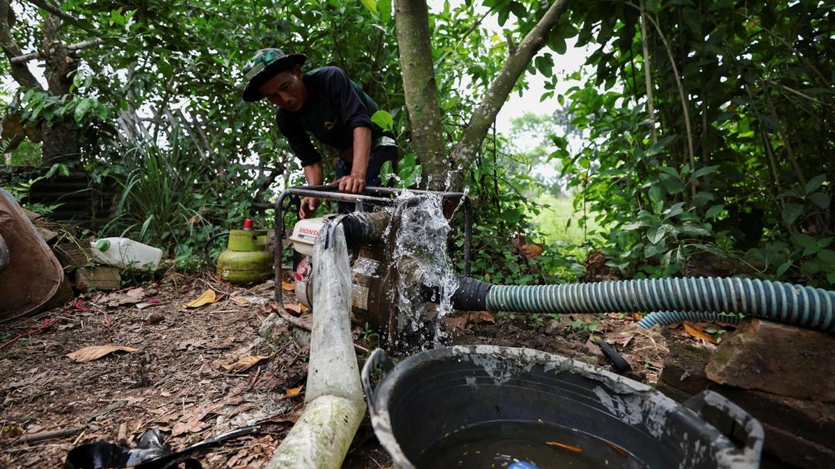Kemunculan El Nino, yang biasanya menyebabkan kondisi lebih kering, meningkatkan kekhawatiran para petani di Tanah Air.
