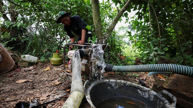 Kemunculan El Nino, yang biasanya menyebabkan kondisi lebih kering, meningkatkan kekhawatiran para petani di Tanah Air.