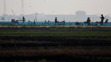 Seberapa Besar Dampak El NIno untuk Indonesia?