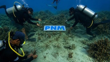 Lestarikan Laut, Cara PNM Beri Masa Depan Cerah bagi Anak