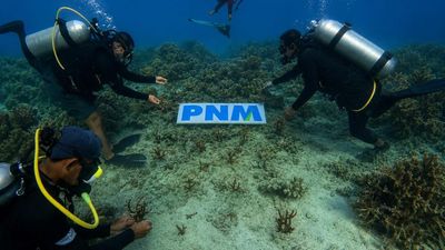 PNM
