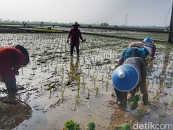 Strategi Kabupaten Bandung Hadapi Potensi Kemarau Panjang