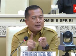 Iqbal Minta Pemda Diberikan Kewenangan untuk Rekrut PPPK Profesional