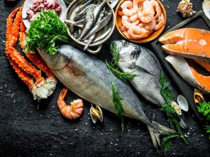 Pengaruh Makan Ikan pada Kecerdasan Anak dan Rekomendasi Jenisnya 