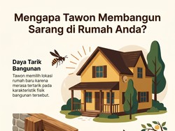 Infografis: Ciri-ciri Rumah yang Disukai Tawon buat Bikin Sarang