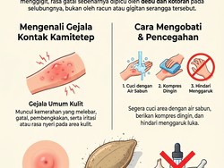Infografis: Ciri Gigitan Kamitetep, Efek dan Cara Mengobatinya