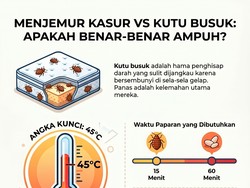 Benarkah Menjemur Kasur Bisa Membunuh Kutu Busuk? Ini Faktanya