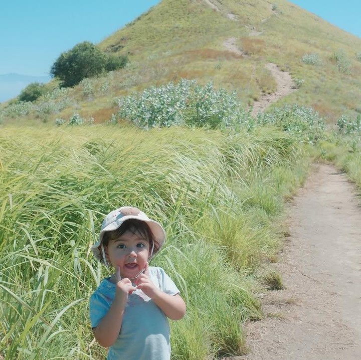 <p>Dalam sebuah unggahan di Instagram pribadi, Laura membagikan pengalaman <em>hiking</em> bareng keluarga kecilnya itu. &ldquo;<em>Hiking</em> sampe atas sama anak ternyata bisa&hellip;. Huuffttt. Tapi pas sampe atas jujur <em>worth it</em> siii,&rdquo; tulis Laura, dikutip dari laman Instagram <em>@laura_theux,</em> Rabu (10/6/2026).&nbsp;(Foto: Instagram @laura_theux)</p>