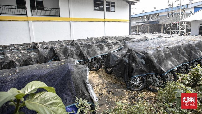 Deretan motor listrik berwarna biru-hitam terlihat terparkir rapi di kawasan industri Sentul, Kabupaten Bogor, Rabu (10/6/2026). Kendaraan-kendaraan tersebut berjajar di area terbuka dan tertutup jaring terpal berwarna hitam yang mulai dipenuhi daun-