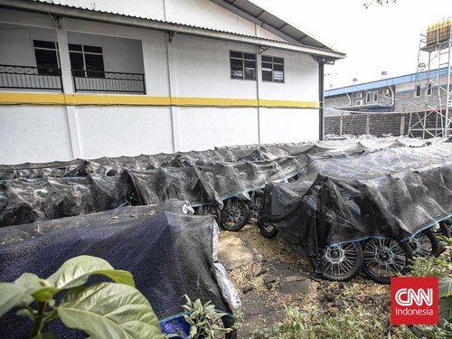 Deretan motor listrik berwarna biru-hitam terlihat terparkir rapi di kawasan industri Sentul, Kabupaten Bogor, Rabu (10/6/2026). Kendaraan-kendaraan tersebut berjajar di area terbuka dan tertutup jaring terpal berwarna hitam yang mulai dipenuhi daun-