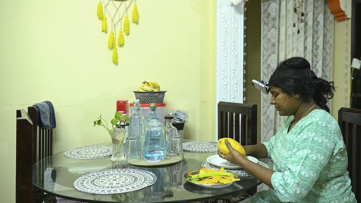 India mulai melatih robot untuk melakukan pekerjaan domestik. Para pekerja, dibayar untuk merekam aktivitas harian mereka untuk dipelajari oleh robot.